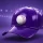 Purple Cap